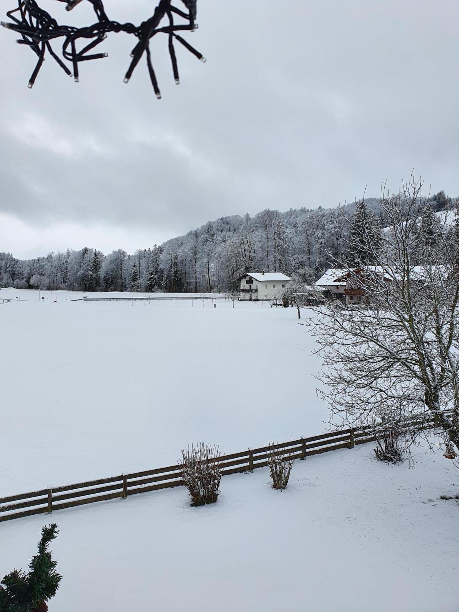 Ferienwohnungen Am Alpenrand Siegsdorf Exterior foto