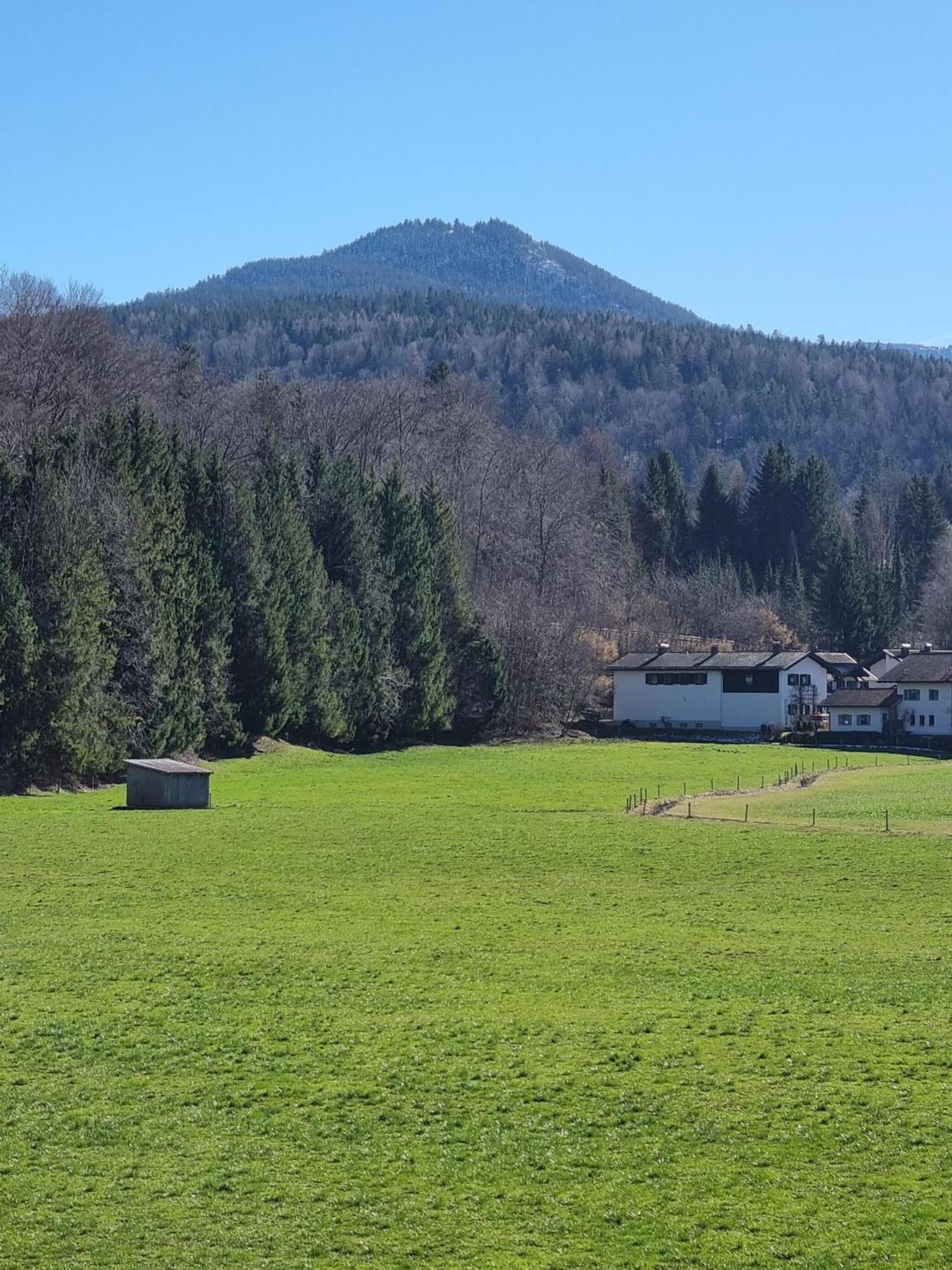 Ferienwohnungen Am Alpenrand Siegsdorf Exterior foto
